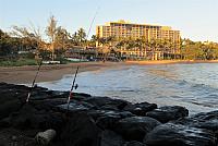 IMG 3675