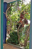 IMG 3681