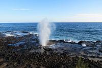 IMG 3750
