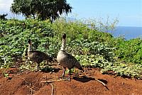 IMG 3783