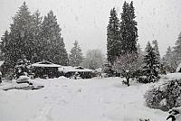 IMG 3917