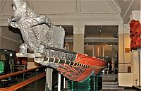 IMG 4051