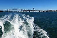 IMG 4135