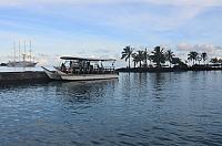 IMG 4442