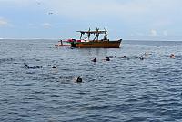IMG 4471