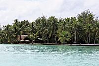 IMG 4510