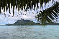 IMG 4519