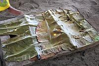 IMG 4526