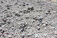 IMG 4816