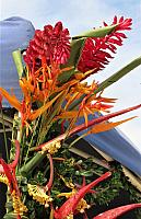 IMG 4282