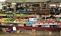 IMG 4301