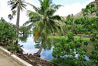 IMG 4955