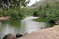 IMG 4961