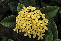IMG 4979