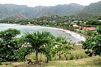 IMG 4981