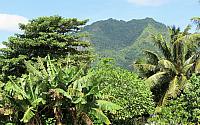 IMG 4417