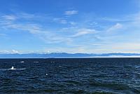 IMG 5199