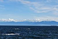 IMG 5200