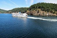 IMG 5222