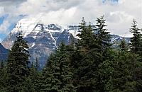 IMG 5245