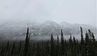 IMG 5351