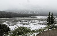 IMG 5354