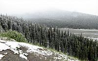 IMG 5359