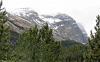 IMG 5406