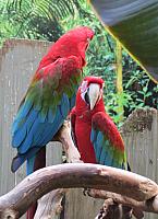 IMG 5501
