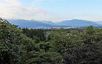 IMG 5534