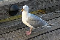 IMG 5546