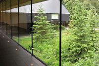 IMG 5586