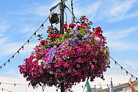 IMG 5622