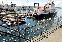 IMG 5623