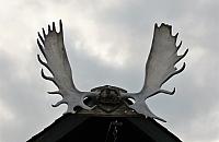 IMG 5719