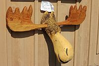 IMG 5768