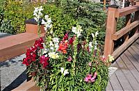 IMG 5775