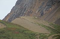 IMG 5845
