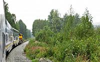 IMG 5967