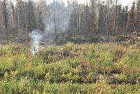 IMG 5976