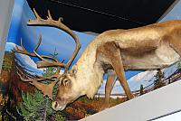 IMG 6045