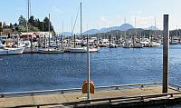 IMG 6149