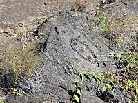 IMG 6483