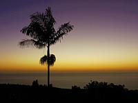 IMG 6496