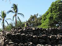 IMG 6545
