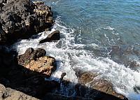 IMG 6557