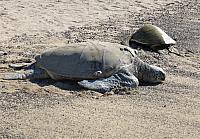 IMG 6570