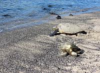 IMG 6572