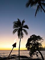 IMG 6642
