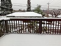 IMG 0428